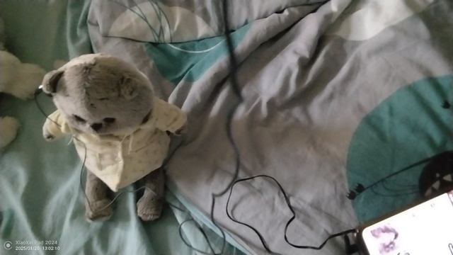 что Миша слушает? скажите