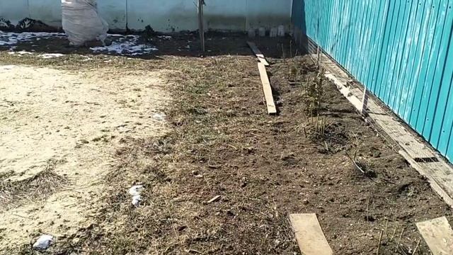 Одна на хозяйстве смотреть онлайн