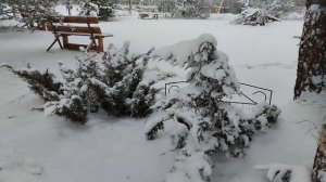 Ой, ты зимушка-зима.mp4