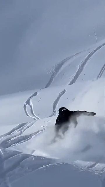 Freeride World Tour 2024 смотреть онлайн