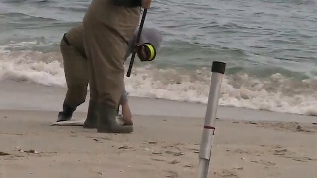 4-21-10 Alvey Lou 28 Inch Bass LIVE ACTION.MOD смотреть онлайн