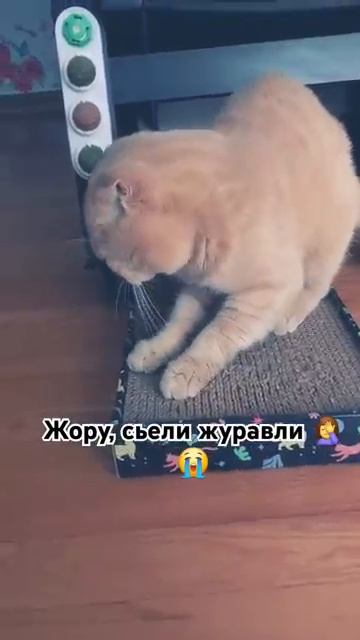 Жору съели журавли смотреть онлайн