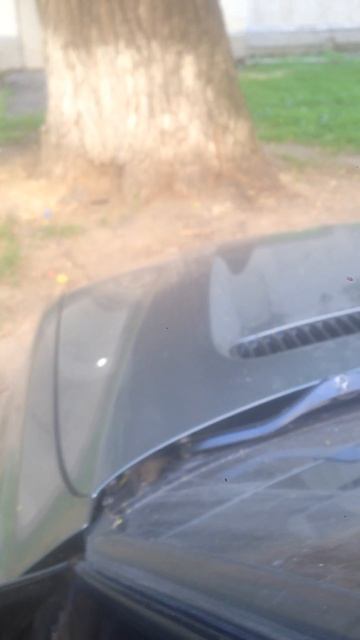 Звуковой Сигнал от Волки в BMW X5 смотреть онлайн