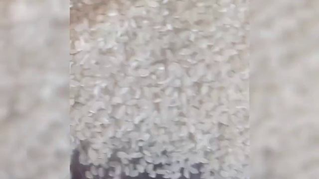 #2023 #самарканд #rayhon #trend #Плов#plove#кулинария#еда #мясо Сампркандский Плов смотреть онлайн