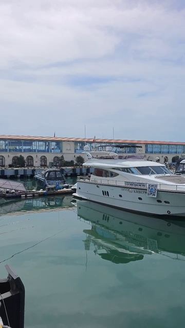 морской порт Сочи с медузами и яхтами смотреть онлайн