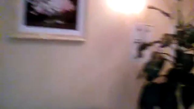 В СПА-центре Воеводино. Поугайчики. Хорошее настроение. смотреть онлайн