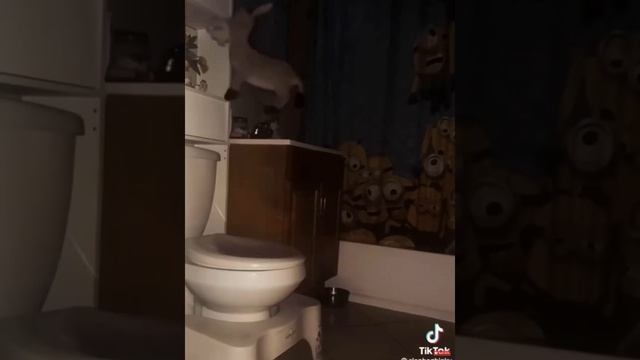 Random weird memes is stole form Freddy Fazbears basement # relatable смотреть онлайн