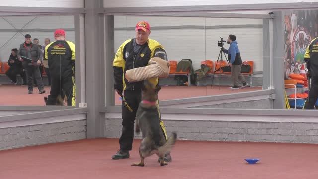 Защита Бояркин Юрий. Конкурс фигурантов 2025. Раздел НацВиды.