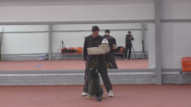 Защита Гомбоев Андрей. Конкурс фигурантов 2025. Раздел НацВиды.