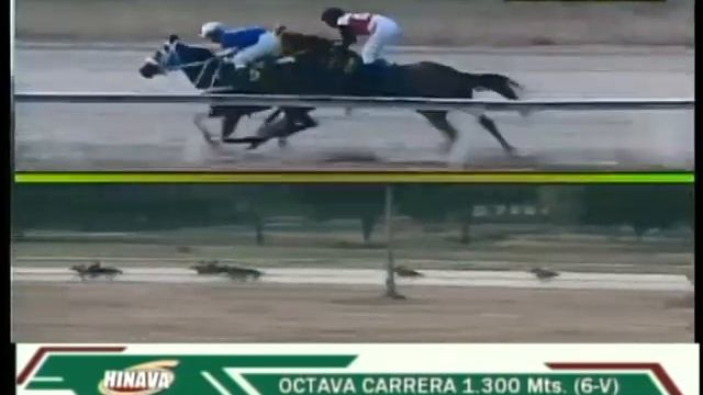 V48| Graciela Forever | Hipódromo Nacional de Valencia | Reunión 06 | 2024 смотреть онлайн