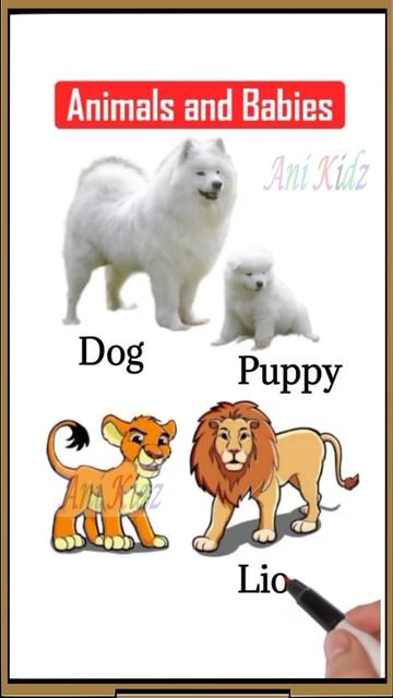#AniKidz | ENGLISH GRAMMAR || #shorts || Animals and their Babies Names || Baby Animals || Kids GK смотреть онлайн