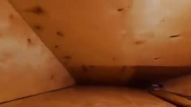 Сдача клиентам готового дома смотреть онлайн