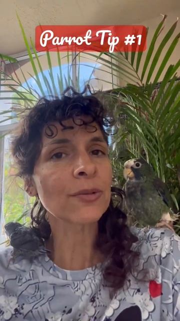 Parrot Tip 1: Aviary & Plants #shorts #parrot_bliss смотреть онлайн