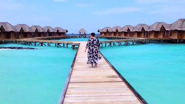 Мальдивы. Остров Fihalhohi. Ноябрь 2022 год. #maldives