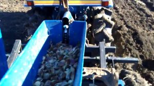 посадка чеснока минитрактором