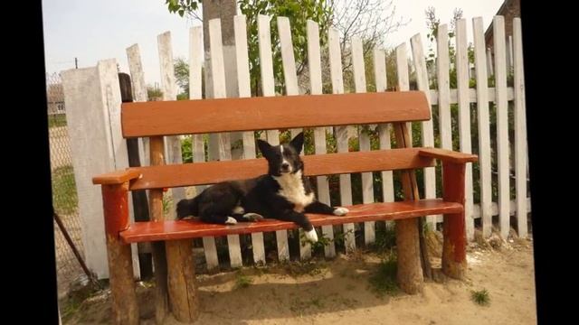 МОЕ РIДНЕ СЕЛО БАШЛИКИ