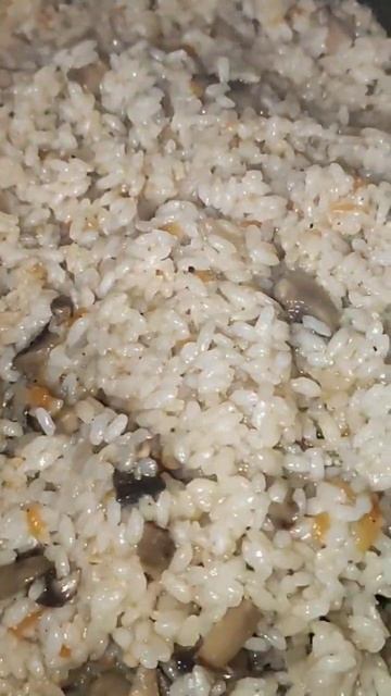 Грибные заметки