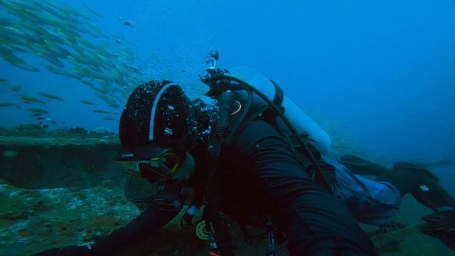 Dive Log#128 Cement and Blue Water Wreck - Nature Music смотреть онлайн