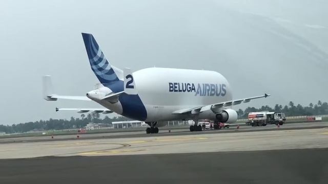 Beluga Airbus @Kolkata Ariport смотреть онлайн