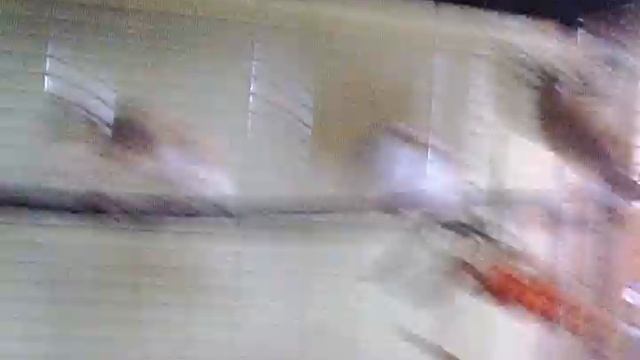 зебровые и японские амадины смотреть онлайн