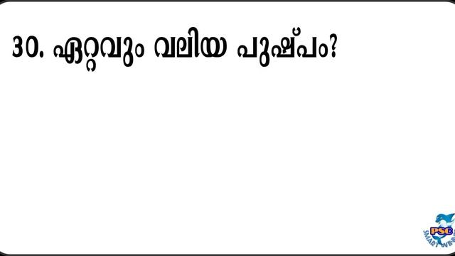 GK|RPF CONSTABLE |LDC|DEVASWAM BOARD LDC|VEO|LDC|#PSCGK|#VEOGK|#KERALAPSC|#LDCGK смотреть онлайн