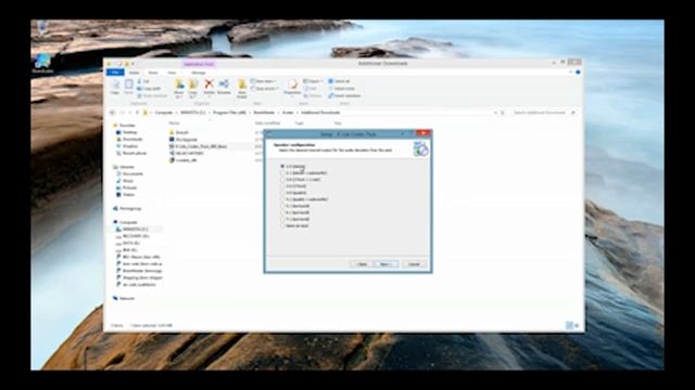 Installing and Updating BrainAvatar 4.0 Software смотреть онлайн
