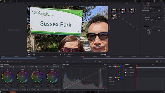 DaVinci Resolve 18 - Patch Replacer