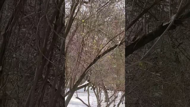 С Благовещеньем 07.04.25 смотреть онлайн