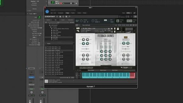 Triumph Audio Feedback Drones