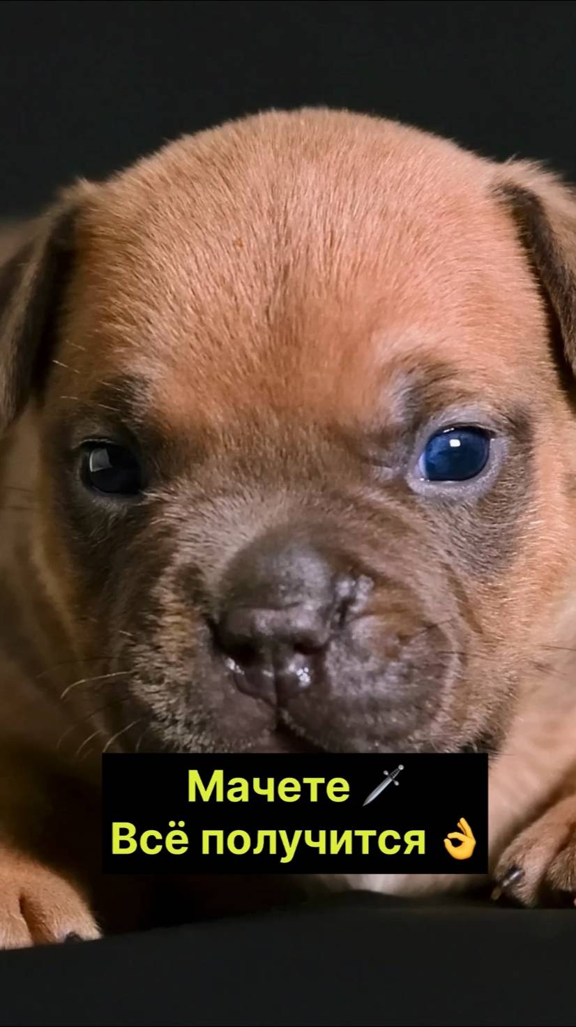 Уже не малыш! смотреть онлайн