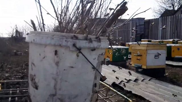 Побудительная подкормка,работа кипит)) смотреть онлайн
