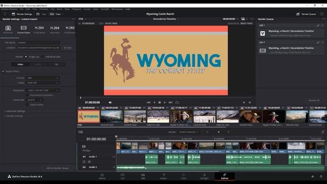 DaVinci Resolve 18 //// Урок 9 /// DELIVER // Часть 3 / Рендеринг отдельных клипов