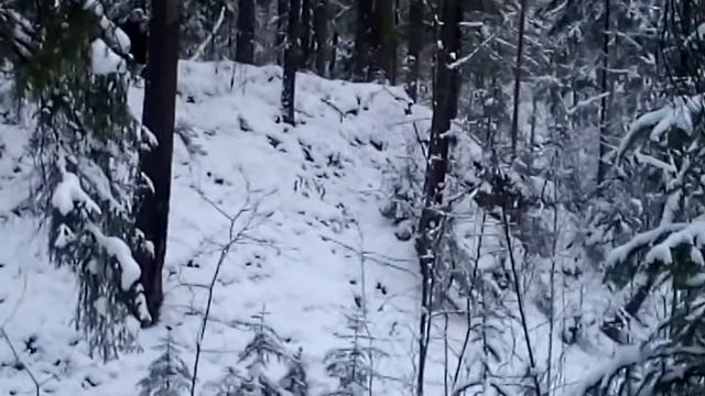 Ахахаха прикол смотреть онлайн