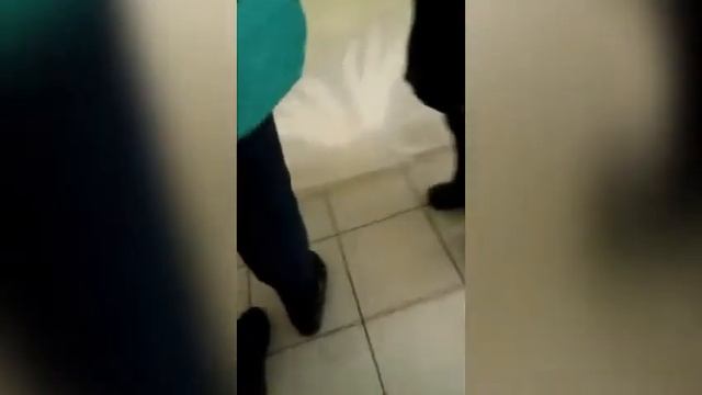 Пауки и бабочки смотреть онлайн