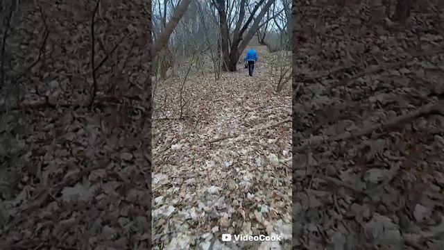 Прогулка к немецким укрытиям..