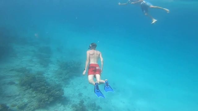 Egypt 🇪🇬 2022 ~ Marsa Alam & Sharm El Luli ~ Red Sea 🪸 смотреть онлайн