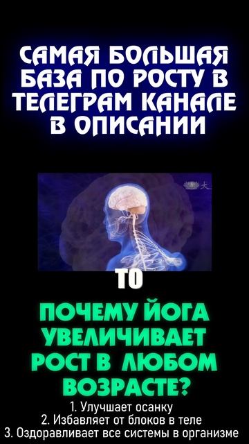 Почему йога увеличивает рост в любом возрасте