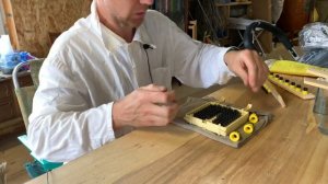 Вывод пчелиных маток с помощью джентерского сота