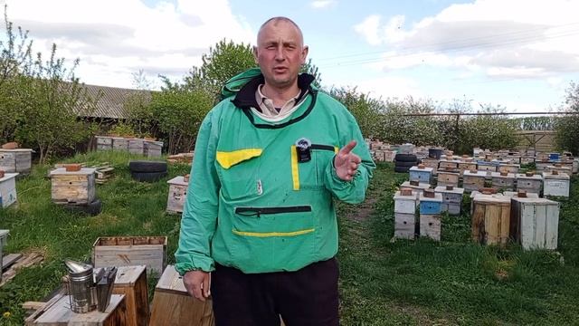 Пчелопакеты и пчеломатки зимовалые на 2024 г смотреть онлайн