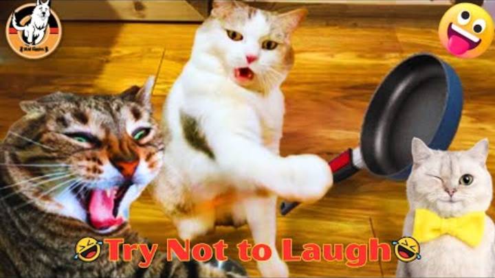 СЛИШКОМ СМЕШНЫЕ ПИТОМЦЫ 2025 😂 🐱 Самые смешные неудачи КОТОВ 🐱 Постарайтесь не смеяться!! смотреть онлайн