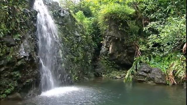 Ксения Лапицкая - К Тебе взываю я смотреть онлайн