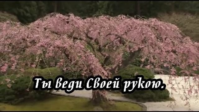 Ксения Лапицкая - Ты, Господь, моя отрада смотреть онлайн