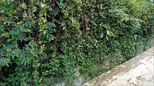 SEMBAHYANG KE PURA LUHUR BATUKARU BERSAMA SKB KOTA DENPASAR 1B