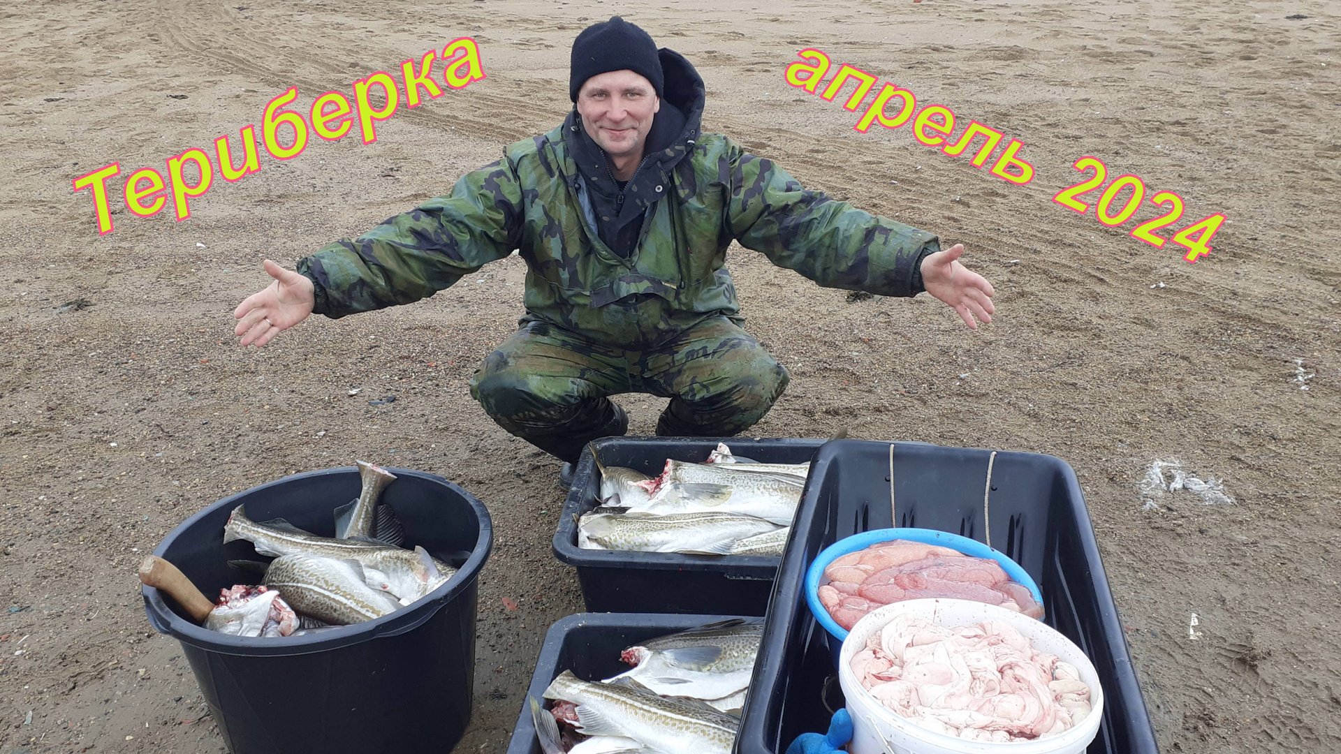 ТРЕСКА/ТЕРИБЕРКА/БАРЕНЦЕВО МОРЕ смотреть онлайн