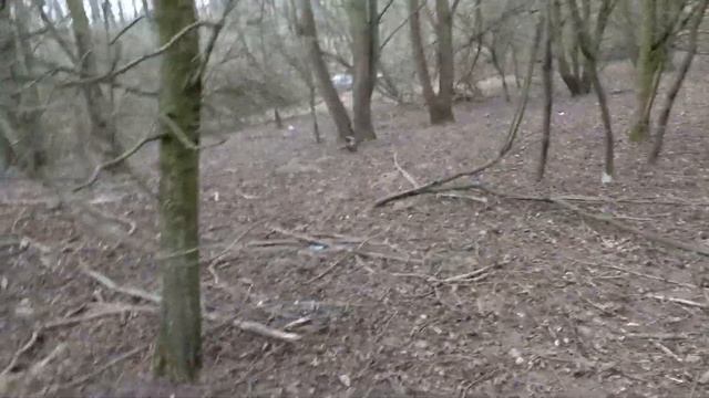 хапаю в лесу 🤙🤙🤙 смотреть онлайн