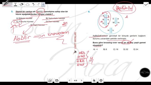 56) Limit Yayınları - Kalıtım - Test #1 смотреть онлайн