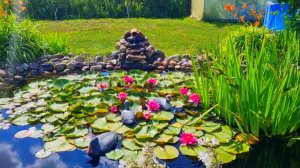 Как создавали пруд моей мечты на дачном участке своими руками!