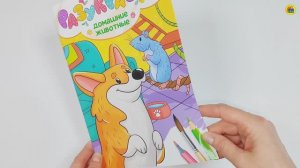 РАСКРАСКА. РАЗУКРАШКА. ДОМАШНИЕ ЖИВОТНЫЕ