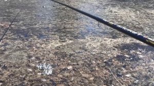 Рыбалка на боковой кивок. Весна 2025г. Два пруда.