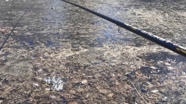 Рыбалка на боковой кивок. Весна 2025г. Два пруда.